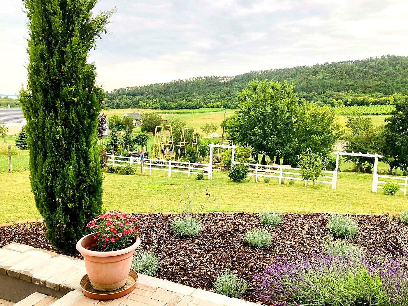 Kertpanoráma ciprussal, levendulával és fehér kerítéssel