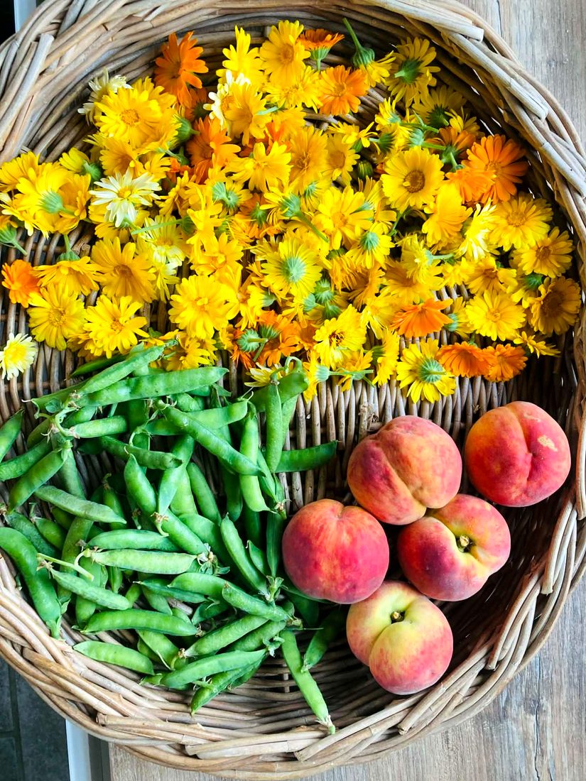Kert termése: körömvirág, borsó, őszibarack