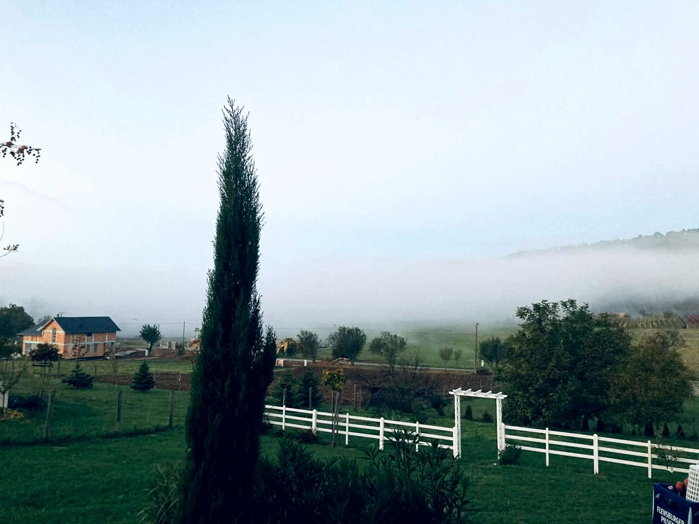 Reggeli köd a völgyben, ciprusfával